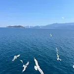 Διαμέρισμα Aparments Elina Ποταμιά