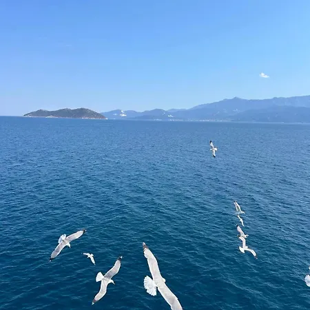 Apartamento Aparments Elina Potamia (Thasos)