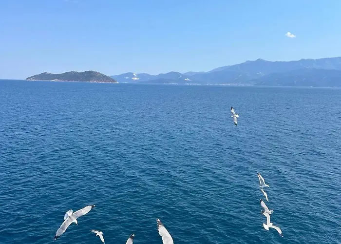 Apartament Aparments Elina Potamia (Thasos)